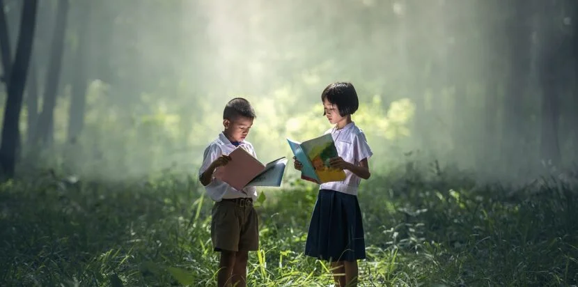 Foreign Direct Investment (FDI) in Education Sector of Nepal